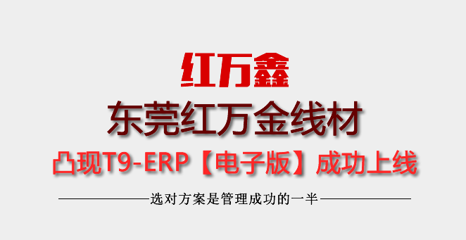 东莞市红万鑫电业有限公司凸现ERP正式运行