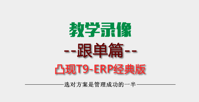 【教学】-凸现ERP订单批量导入下单录像